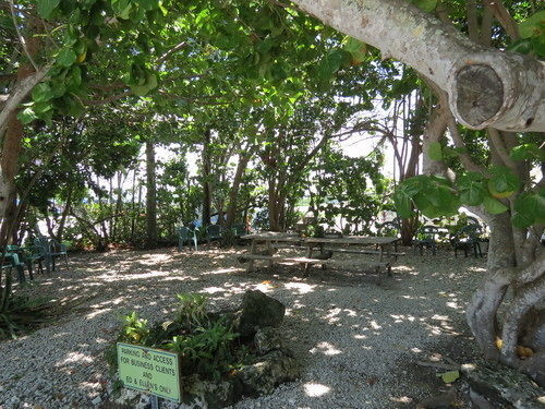 Ed & Ellen'S Lodgings Key Largo Motel Exterior photo