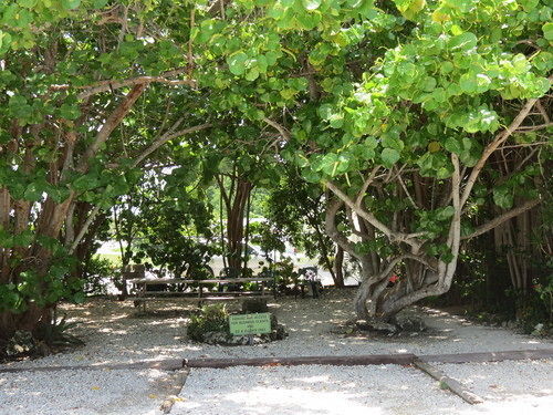 Ed & Ellen'S Lodgings Key Largo Motel Exterior photo